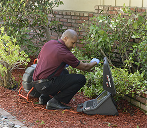 Yard inspection services